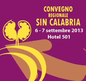 vibo-300x281 Convegno SIN CALABRIA . 6-7 Sett2013 RC